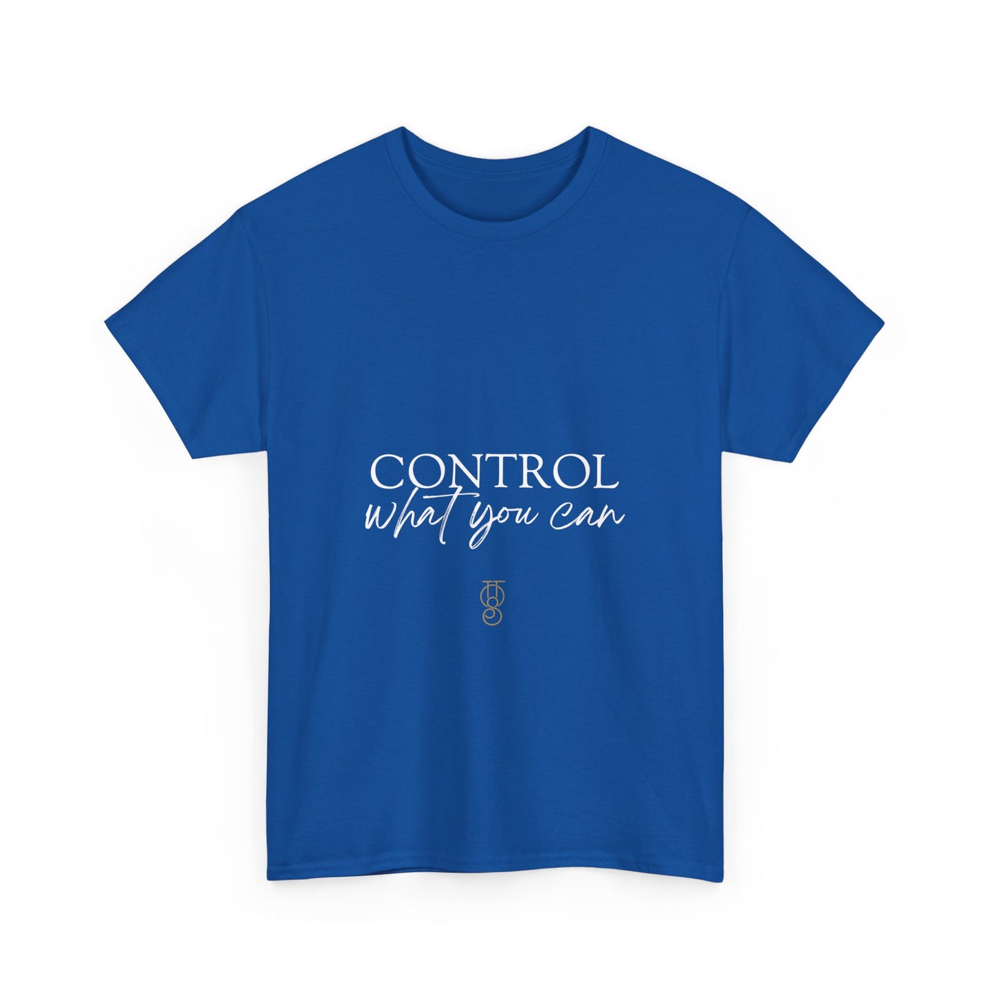 Control What you Can Graphic T-Shirt | Unisex Heavy Cotton Tee  | T-Shirts for Women and Men